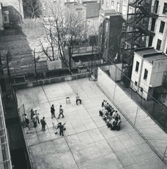 Vivian Maier  -  Untitled, 1960 (class picture from above) / Silver Gelatin Print  -  12 x 12