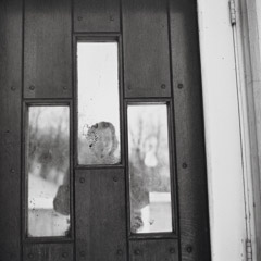Vivian Maier  -  Self-portrait, Chicago area, 1963 (11/2020) / Silver Gelatin Print  -  12 x 12 (on 16x20 paper)