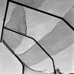 Vivian Maier  -  Untitled, Undated. (backstop) / Silver Gelatin Print  -  12 x 12 (on 16x20 paper)
