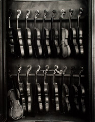 Arnold Newman  -  Violins, Pennsylvania, 1941 / Silver Gelatin Print  -  11 x 14
