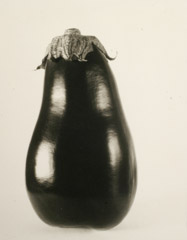 Rondal Partridge  -  Eggplant Portrait, 1995 / Platinum Palladium  -  9.5 x 7.5