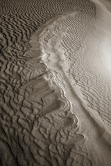 Cara Weston  -  Dune Patterns III, Death Valley, 2008 / Pigment Print  -  Available in Multiple Sizes