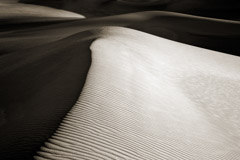 Cara Weston  -  Dune Ridge, Death Valley / Pigment Print  -  Available in Multiple Sizes