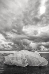 Cara Weston  -  Floating Ice, Iceland 2016 / Pigment Print  -  Available in Multiple Sizes