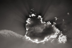 Cara Weston  -  Backlit Cloud / Pigment Print  -  Available in Multiple Sizes