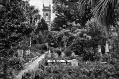 Tim Barnwell  -  2233, Cemetery, Unitarian Universalist Church, Charleston, SC /   -  