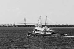 Tim Barnwell  -  2310, Tugboat on river, Charleston, bridge in background, SC /   -  