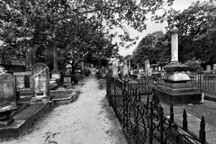 Tim Barnwell  -  2318, Coming Street Jewish Cemetery, Charleston, SC /   -  