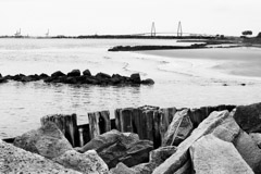 Tim Barnwell  -  2336, Rock foreground, river, Charleston bridge on horizon from Sullivans Island, SC /   -  