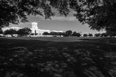 Tim Barnwell  -  2339, Citadel campus, tree overhang, view near 