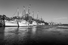 Tim Barnwell  -  2387, Shrimp boat fleet at dock, Darien, GA /   -  