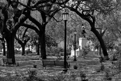 Tim Barnwell  -  2412, Chippewa Square & Oglethorpe statue, Savannah, GA /   -  