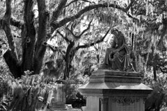 Tim Barnwell  -  2420, Theus grave, Bonaventure Cemetery, Savannah, GA /   -  