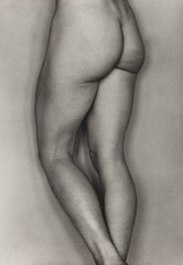 Edward Weston  -  Nude, 66N, 1927 / Silver Gelatin Print  -  9.5 x 7.5