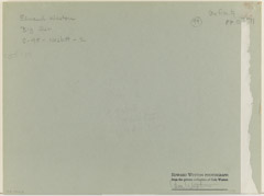 Edward Weston  -  Big Sur, 1945 (back) /   -  