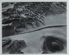Edward Weston  -  Sandstone Erosion, Point Lobos, 1945 / Silver Gelatin Print  -  7.5 x 9.5