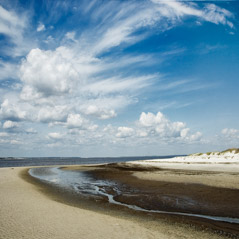 Diane Kirkland  -  Beach, Jekyll Island, GA / Pigment Print  -  Available in Multiple Sizes