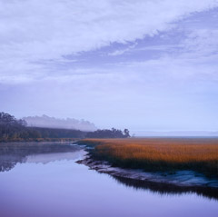 Diane Kirkland  -  Marsh, Jekyll Island, GA / Pigment Print  -  Available in Multiple Sizes