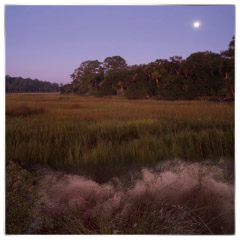 Diane Kirkland  -  Marsh and Moon, Ossabaw Island, GA / Pigment Print  -  Available in Multiple Sizes