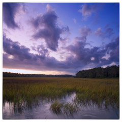 Diane Kirkland  -  Marsh Dawn, Ossabaw Island, GA / Pigment Print  -  Available in Multiple Sizes