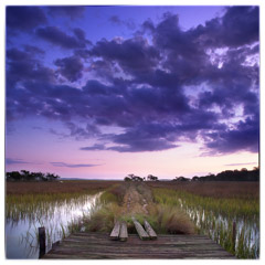 Diane Kirkland  -  Marsh Road, Ossabaw Island, GA / Pigment Print  -  Available in Multiple Sizes