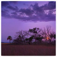 Diane Kirkland  -  Marsh Sunset, Ossabaw Island, GA / Pigment Print  -  Available in Multiple Sizes