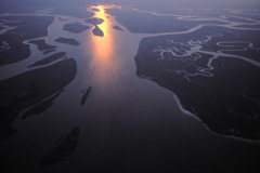 Peter Essick  -  Altamaha River, Georgia, 1998 / Pigment Print  -  available in multiple sizes