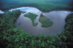 Peter Essick  -  Altamaha River, Georgia, 1998 / Pigment Print  -  available in multiple sizes