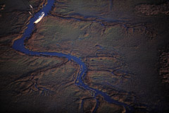 Peter Essick  -  Altamaha River, Georgia, 1998 / Pigment Print  -  available in multiple sizes