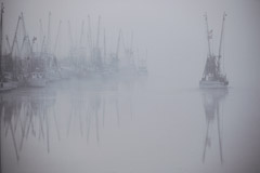 Peter Essick  -  Altamaha River, Georgia, 1998 / Pigment Print  -  available in multiple sizes