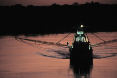 Peter Essick  -  Altamaha River, Georgia, 1998 / Pigment Print  -  available in multiple sizes