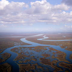 Diane Kirkland  -  Altamaha River / Pigment Print  -  Available in Multiple Sizes