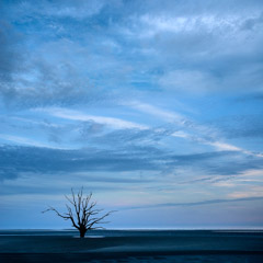 Diane Kirkland  -  Ossabaw Beach / Pigment Print  -  Available in Multiple Sizes