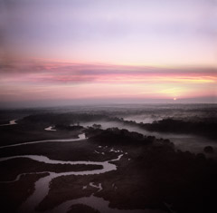 Diane Kirkland  -  Sapelo Island / Pigment Print  -  Available in Multiple Sizes