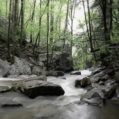 Diane Kirkland  -  Cloudland Canyon #1 / Pigment Print  -  Available in Multiple Sizes