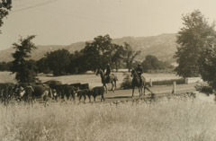 Dorothea Lange  -  Ranching & Farming, 1956 / Silver Gelatin Print  -  8 x 10