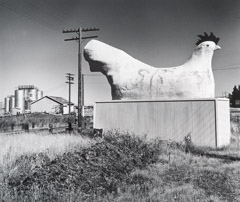 John Gutmann  -  Monument to the Chicken Center of the World. Petaluma, CA, 1936 /   -  11x14