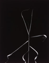 Harry Callahan  -  Aix-en-Provence, 1958 / Silver Gelatin Print  -  9 x 7