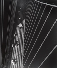 John Gutmann  -  From the North Tower of the Golden Gate Bridge, San Francisco,
1947  / Silver Gelatin Print  -  11 x 14 