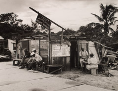 Arnold Newman  -  Jackon's Wood Yard, West Palm Beach, FL, 1941 / Silver Gelatin Print  -  8 x 10