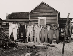Arnold Newman  -  Laundry, West Palm Beach, 1941 / Silver Gelatin Print  -  8 x 10