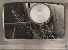 Arnold Newman  -  Philadelphia, PA, 1941 (Weeds and Headlight) / Silver Gelatin Print  -  8 x 10