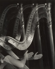 Imogen Cunningham  -  Three Harps, 1935 / Silver Gelatin Print  -  7.25 x 9.25 - IC161