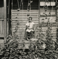 Dorothea Lange  -  Black Child on Porch, Behind Beans, 1938 / Silver Gelatin Print  -  10.75 x 10.5