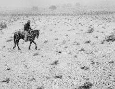 Pirkle Jones  -  Cowboy, Arizona, 1957 / Silver Gelatin Print  -  11x14