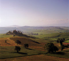 Robert Weingarten  -  St. Quirico Early Morning, Tuscany Italy, 1997 / Pigment Print  -  27 x 30