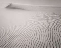 Al Weber  -  Ripple Dune, Kelso, 1987 / Silver Gelatin Print  -  7 x 9