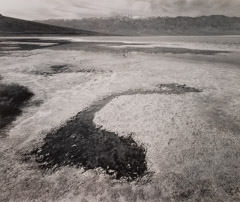 Al Weber  -  Seep, Badwater, Death Valley, 1983 / Silver Gelatin Print  -  10 x 12.5
