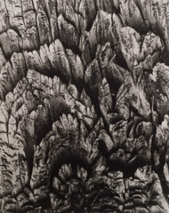 Al Weber  -  Bristlecone Stump, White Mountains, 1977 / Silver Gelatin Print  -  12 x 9.5