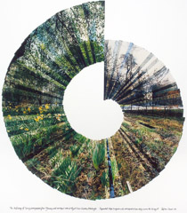 Stephen Lawson  -  Unfolding of Spring, 1987 / Chromogenic Collage  -  35 x 30